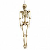 Prop, halloween skelett 160 cm