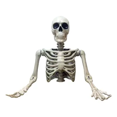 Gigantiskt Skelett Överkropp