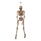 Hängande Skelett Halloween Prop