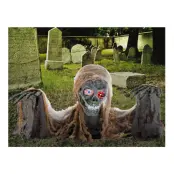 Halvt Skelett Animerad Prop