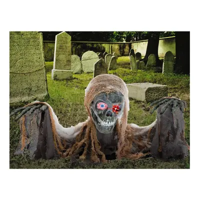 Halvt Skelett Animerad Prop