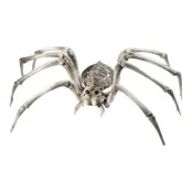 Jättespindel Skelett Prop