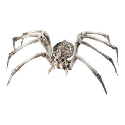 Jättespindel Skelett Prop