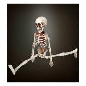 Justerbart Skelett - 50 cm