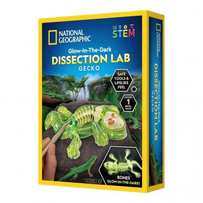 National Geographic Dissection Lab Gecko - National Geographic -  Leksaksaffären