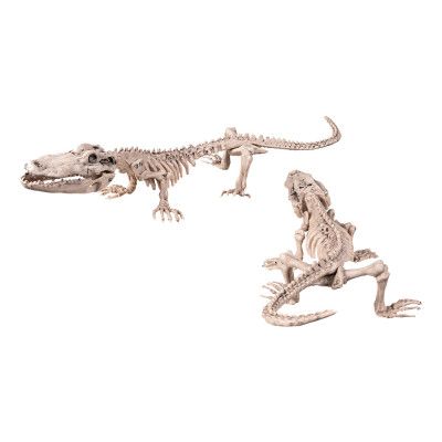 Prop Krockodilskelett