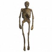 Prop, ruttet skelett helkropp 152 cm