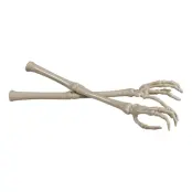 Salladsbestick Skeletthänder
