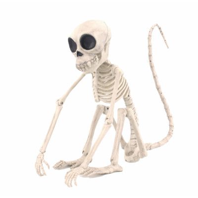 Skelett Apa Prop