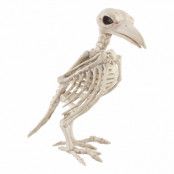 Skelett Fågel