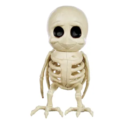 Skelett Fågel Prop