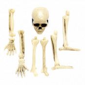 Skelett för Trädgård Prop