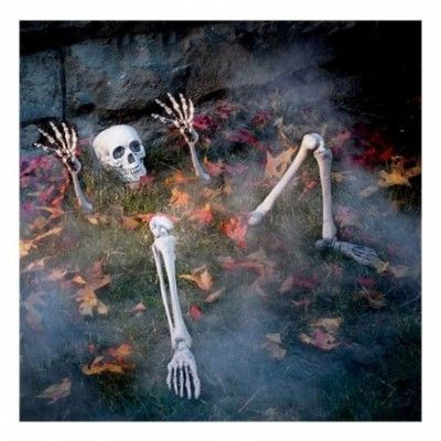 Skelett i Marken Prop