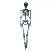 Skelett Silver Prop - 160 cm