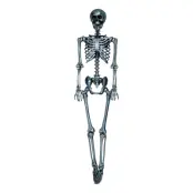 Skelett Silver Prop - 90 cm