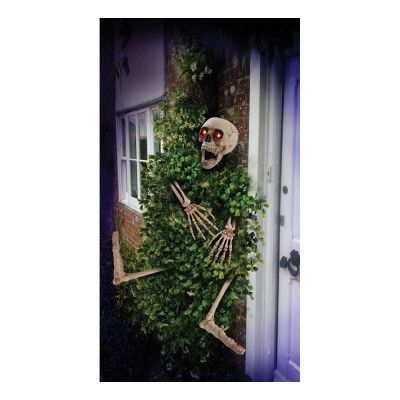 Skelett ur Buske Prop