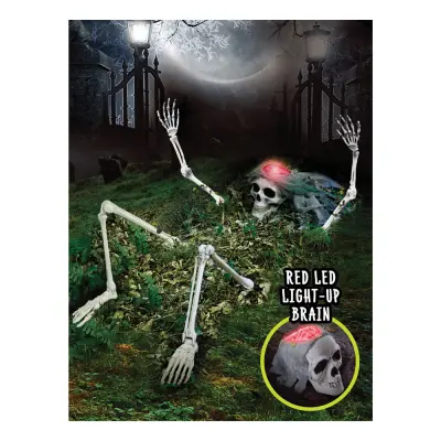 Skelett ur Marken Lysande Prop