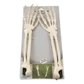 Skelettarmar ur Marken