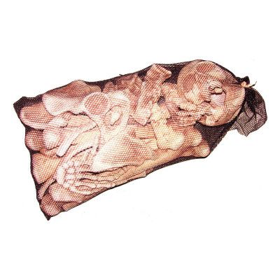 Skelettdelar i Påse