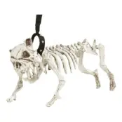 Skeletthund med Koppel