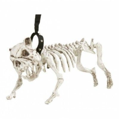 Skeletthund med Koppel