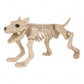 Skeletthund Prop