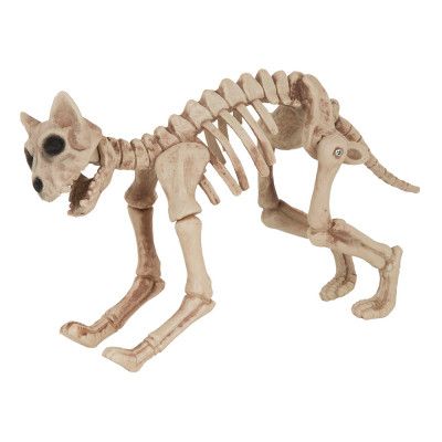 Skelettkatt Prop
