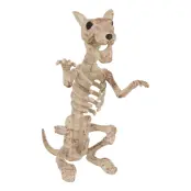 Skelettråtta Prop