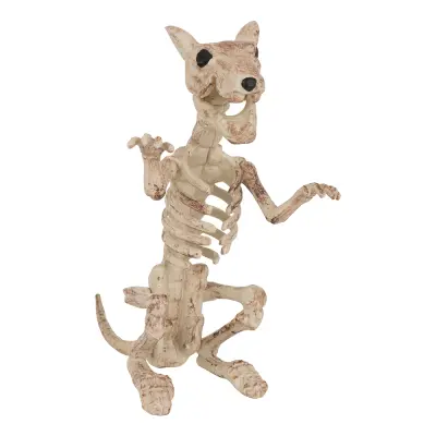 Skelettråtta Prop