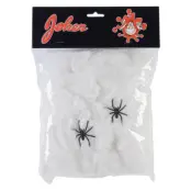 Spindelväv med Spindlar