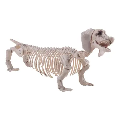 Hundskelett Prop