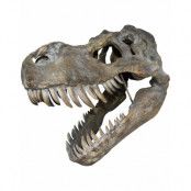 Tyrannosaurus Rex Skeletthuvud - 51 cm Figur med Väggfäste